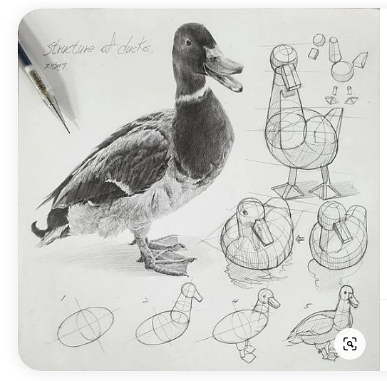 结构（图ZMzM4MDc3ODQ4） - 绘本 - 站酷设计师周咘咘原创素材 - 站酷ZCOOL