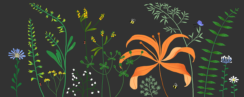 花卉图。（图ZMzEwNTgyMzI0） - 商业插画 - 站酷设计师stellejuno原创素材 - 站酷ZCOOL