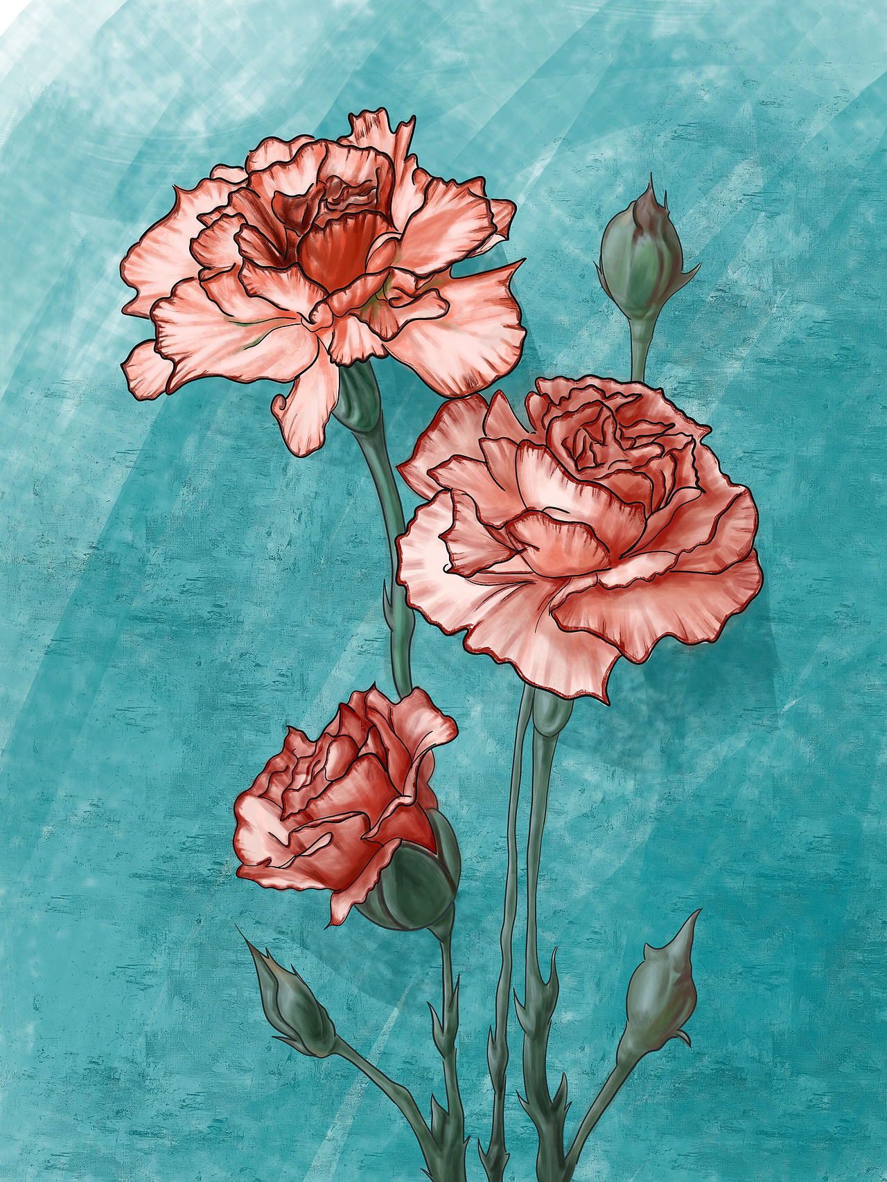 母亲节的康乃馨