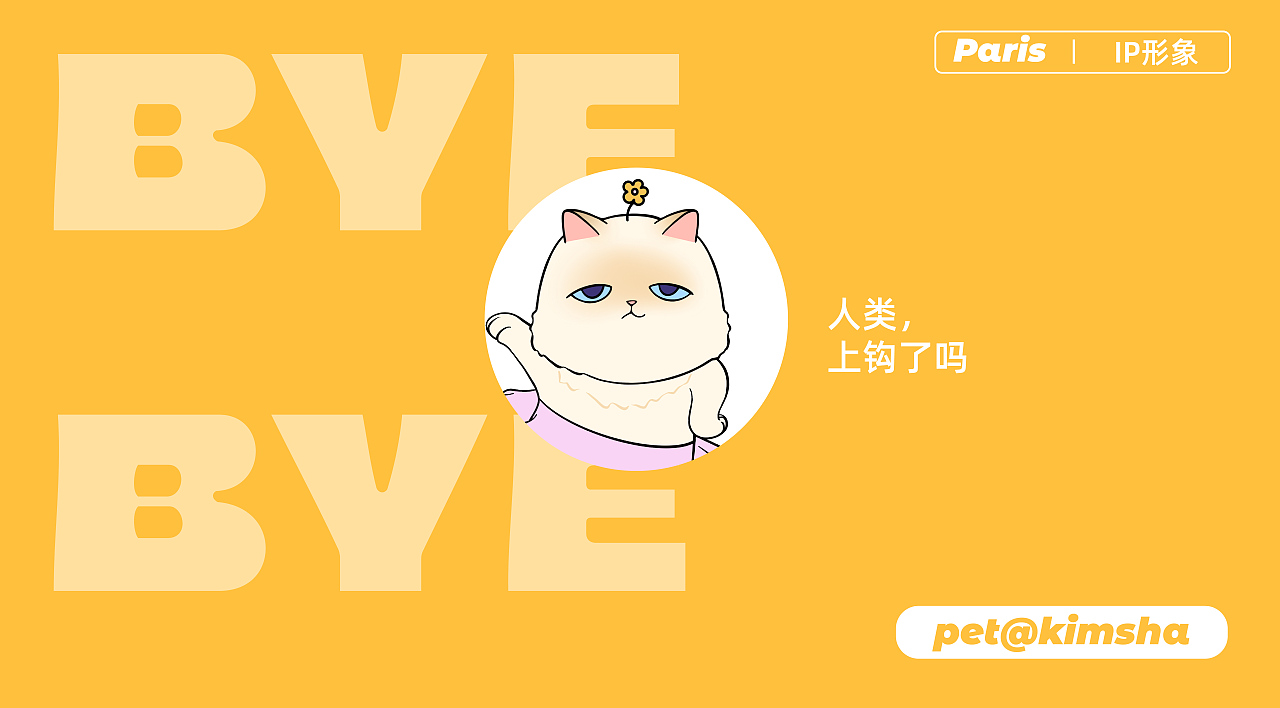 猫咪IP -- 盲盒三视图