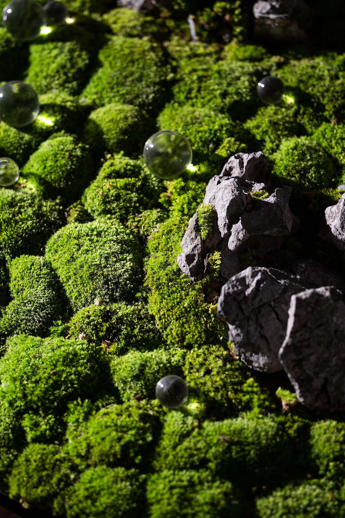 美纵设计|首创厦门 禧瑞風華 营销中心