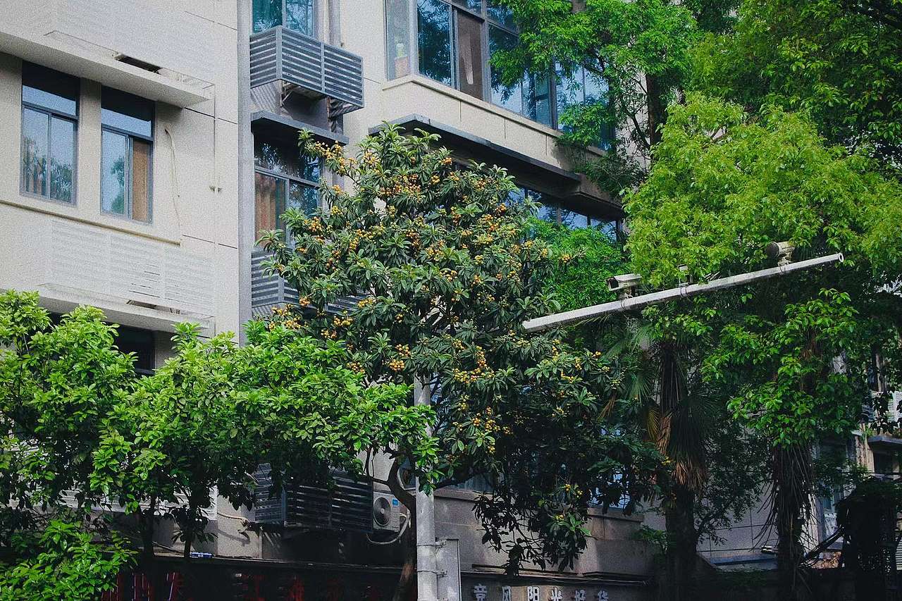 五一快乐（图ZMjk5NjgyODk2） - 环境/建筑摄影 - 站酷设计师贰東设计原创素材 - 站酷ZCOOL