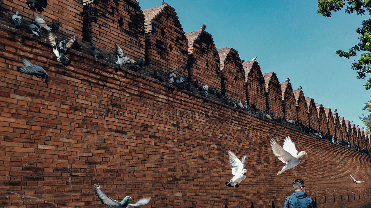 生机盎然的清迈古城