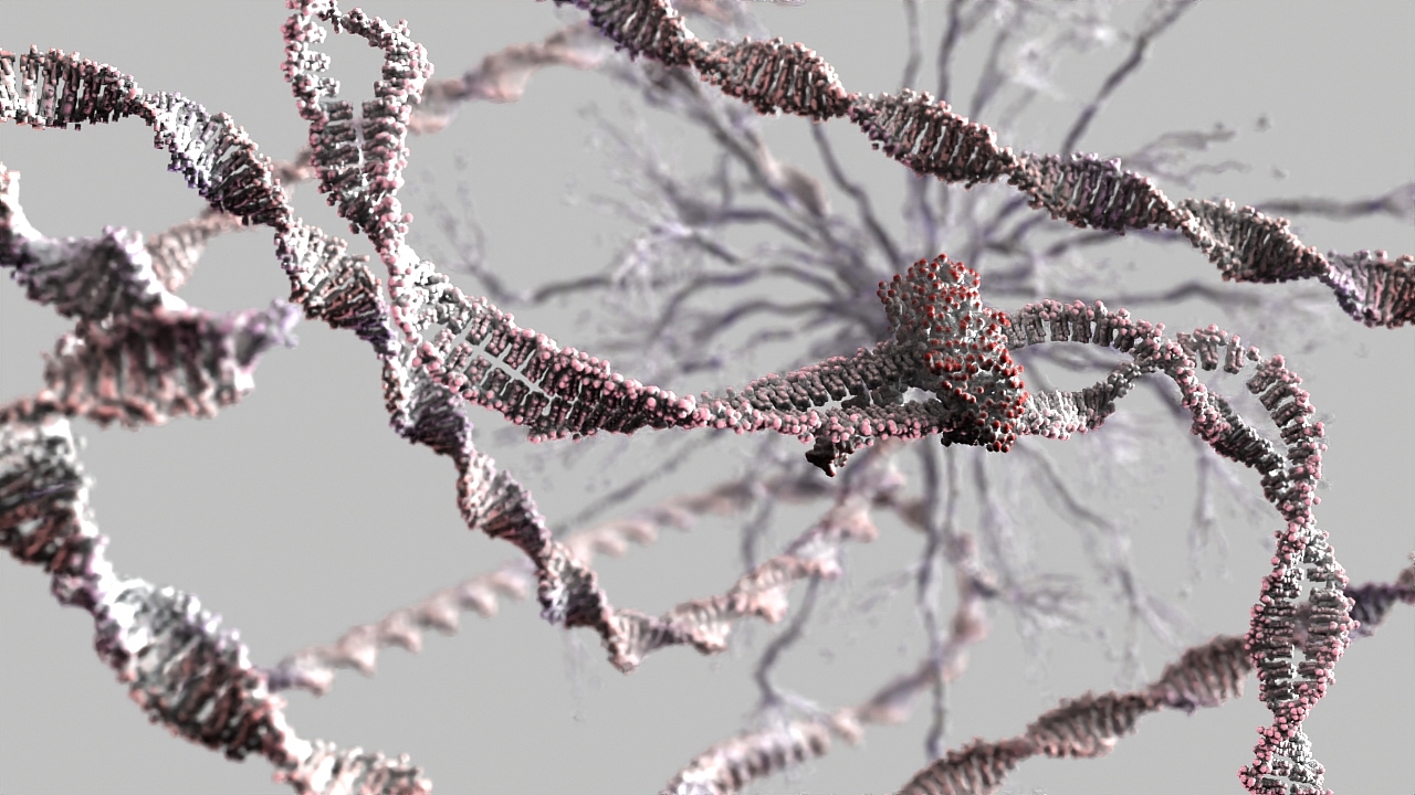 初试程序化动画（图ZMzMxMDEyMzM2） - 动画/影视 - 站酷设计师有门原创素材 - 站酷ZCOOL