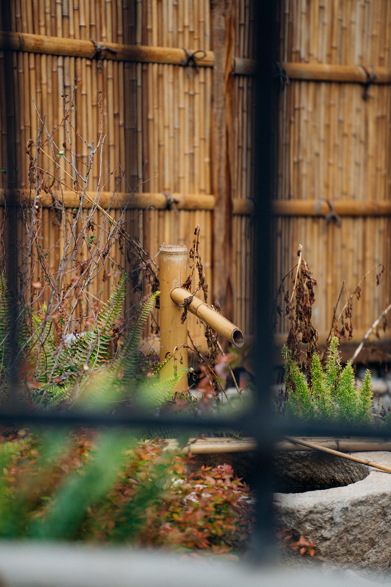 2023年，我在路上（图ZMzM3MjAyMTg0） - 风光摄影 - 站酷设计师莫言默原创素材 - 站酷ZCOOL