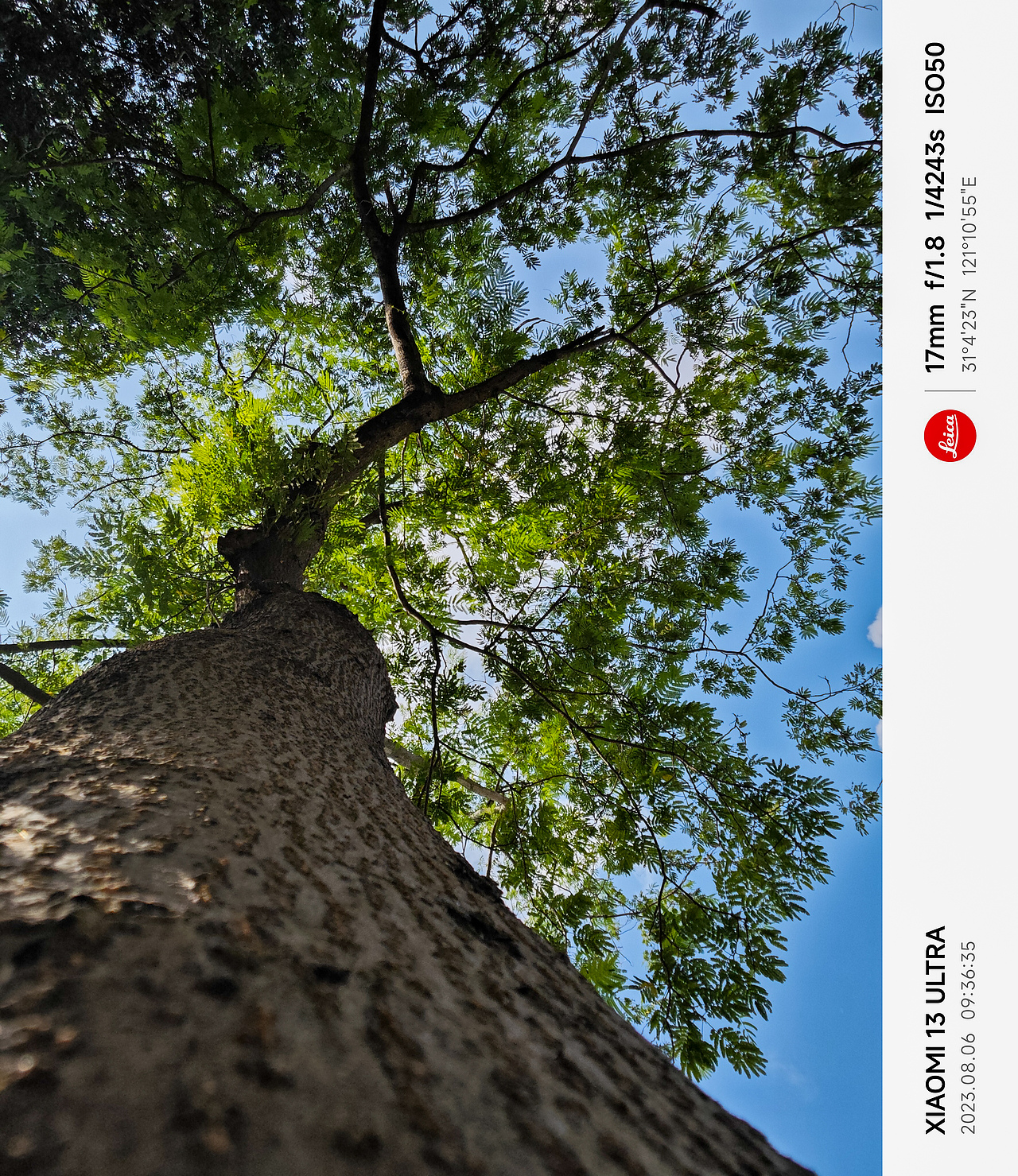 2023|上半年手机摄影合集