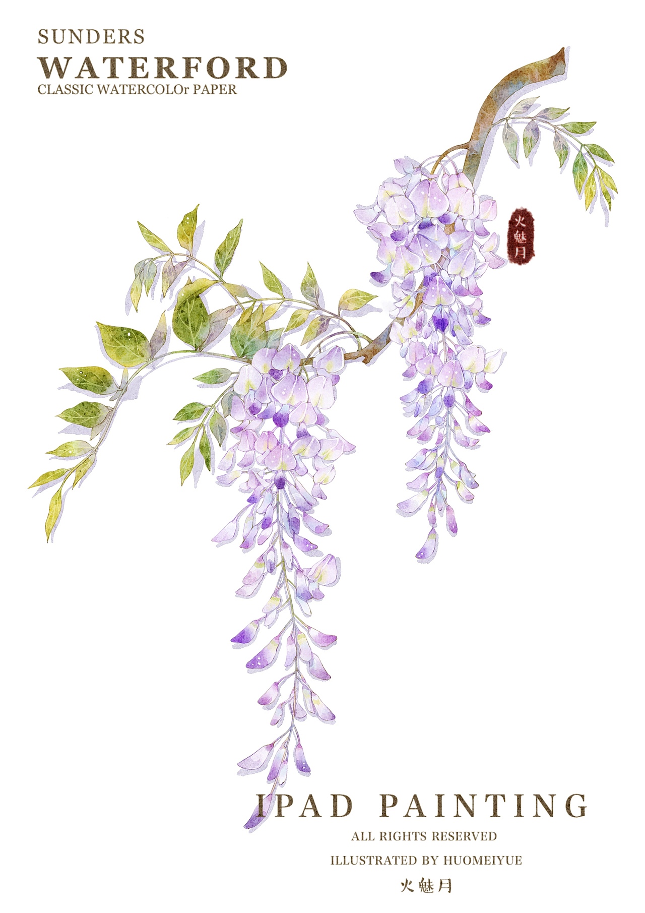 水彩花卉合集（图ZMzU3MDQ3ODI0） - 商业插画 - 站酷设计师火魅月月原创素材 - 站酷ZCOOL