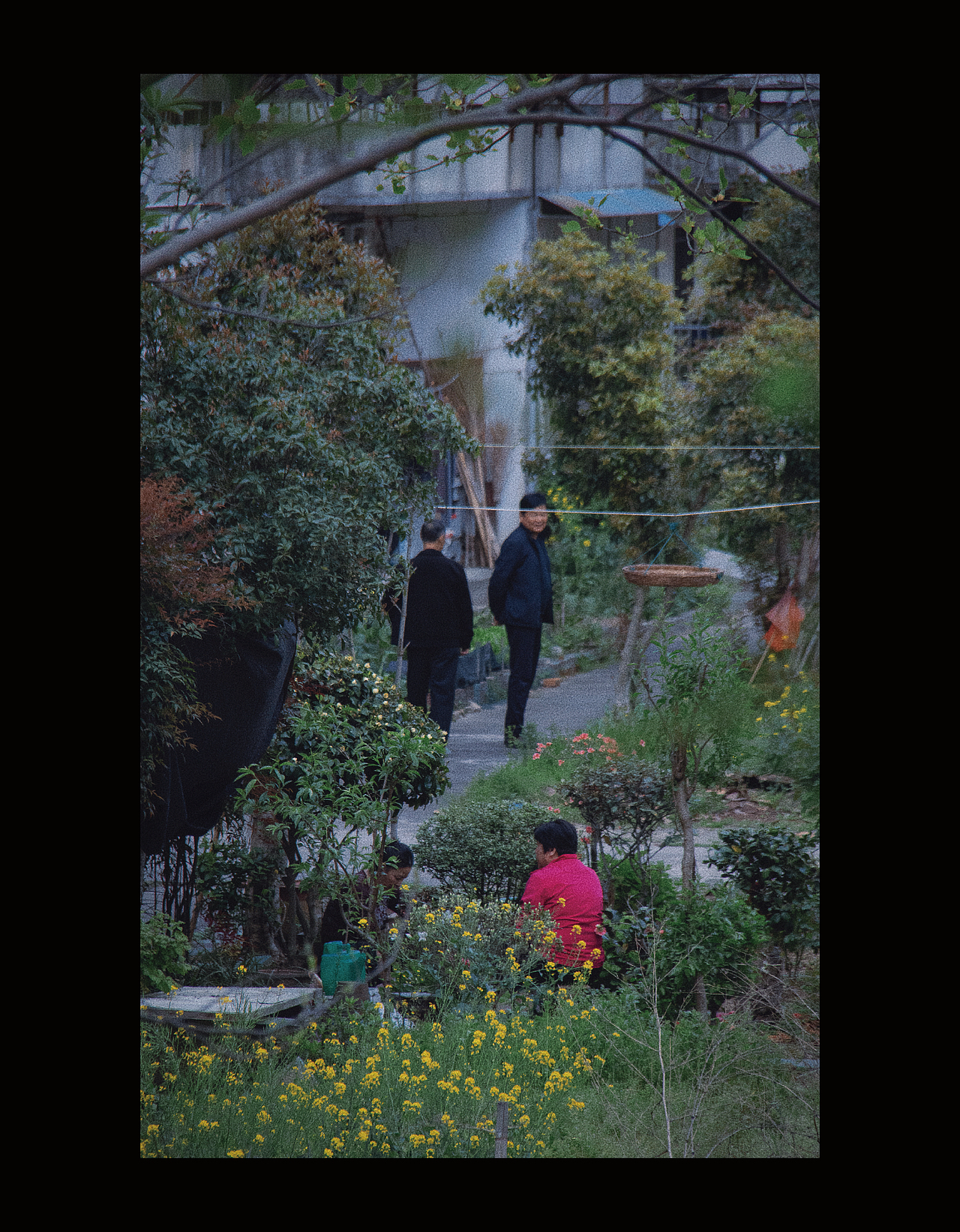 4月4日 在山中（图ZMjk2MzUwMzg4） - 人文/纪实摄影 - 站酷设计师丁技安原创素材 - 站酷ZCOOL