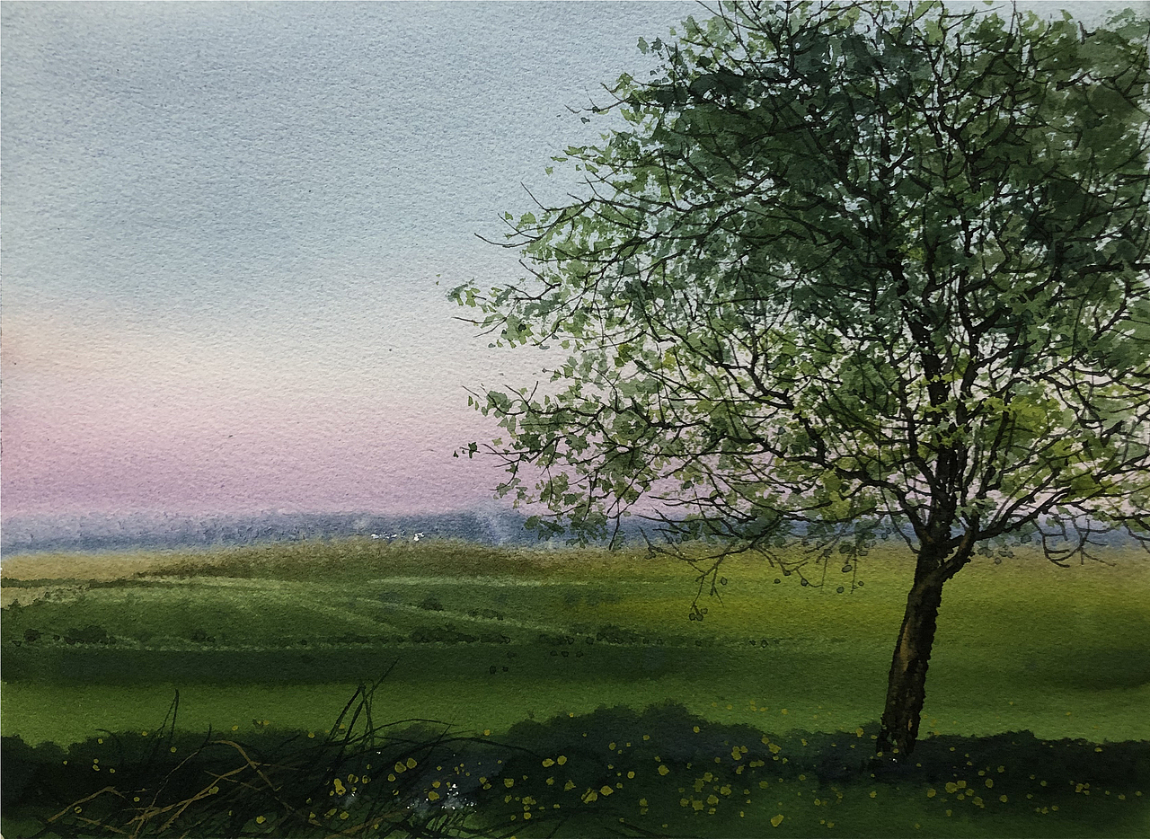 水彩风景——夏树生非花(2022 夏日里的树先生们)