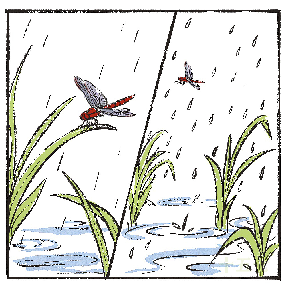 芒种趣事||原创漫画（图ZMzQyMzg1Mzc2） - 中/长篇漫画 - 站酷设计师十五七原创素材 - 站酷ZCOOL