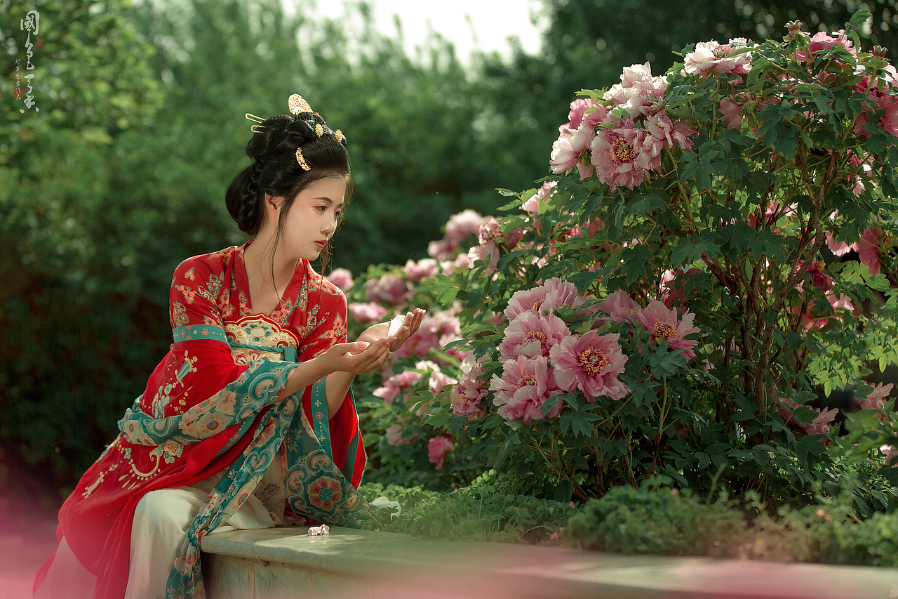 唯有牡丹真国色