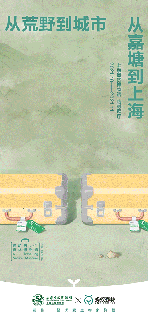 【蚂蚁森林】蚂蚁森林×上海自然博物馆联合生态海报