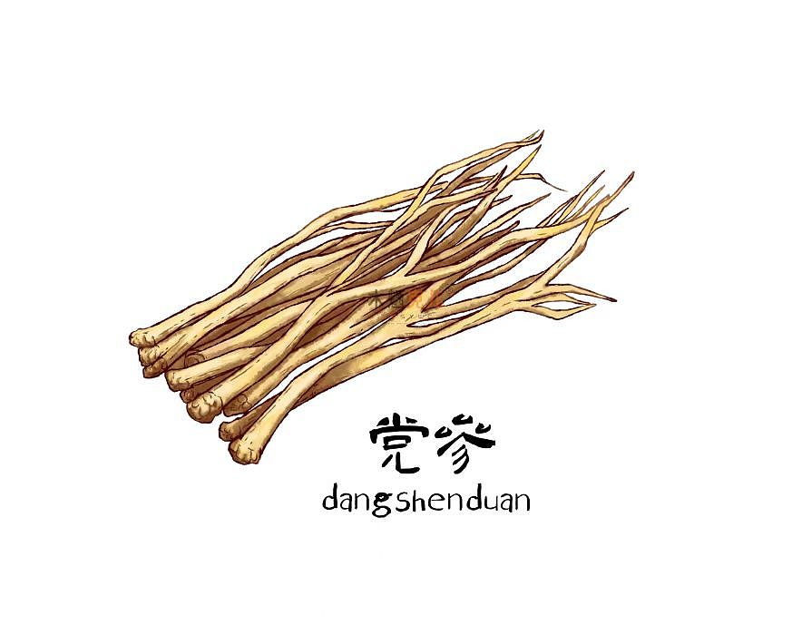 小插图（图ZMzM1MTUyMDQ0） - 艺术插画 - 站酷设计师木魎克儿原创素材 - 站酷ZCOOL