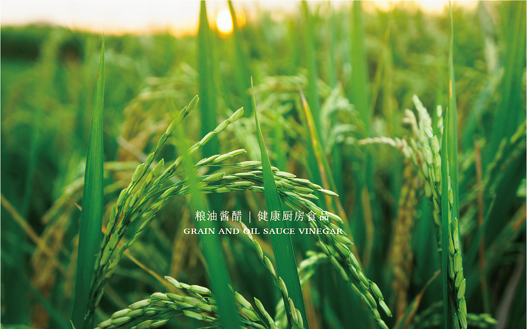 甄好呷（图ZMzY5MzYyOTU2） - 品牌 - 站酷设计师ShuoYan27原创素材 - 站酷ZCOOL