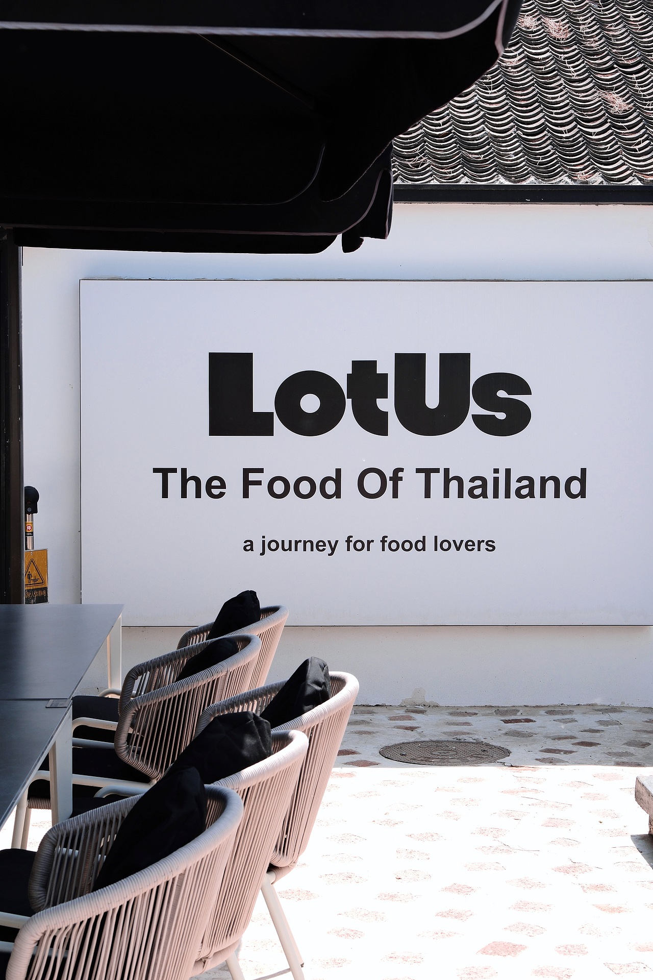 Lotus・泰｜山有扶苏 隰有荷华（图ZMzY4NDIyNzA4） - 人文/纪实摄影 - 站酷设计师嘻嘻不吃豆腐原创素材 - 站酷ZCOOL