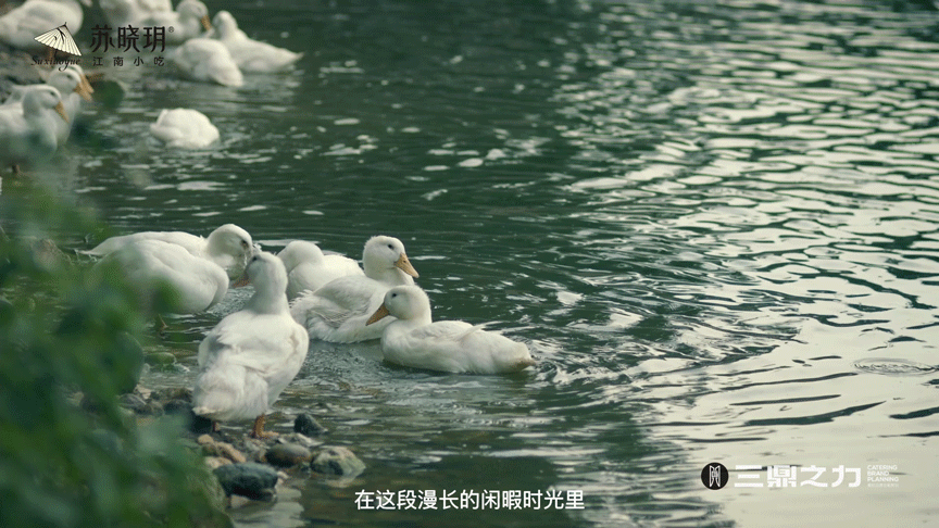 美食视频 | 苏晓玥 X SANDING(图ZMzAyNTIwNTcy) - 短片 - 站酷设计师三鼎之力影视部原创素材 - 站酷ZCOOL