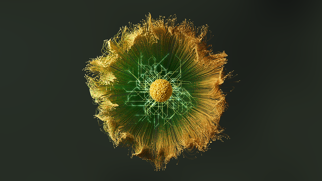 2022年度作品总结