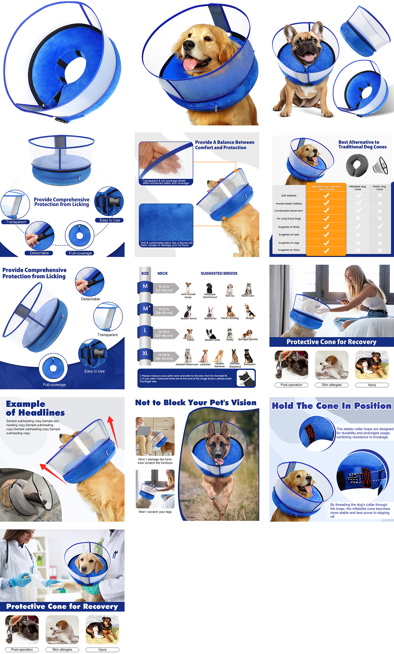 亚马逊宠物用品类目A+与主副图设计