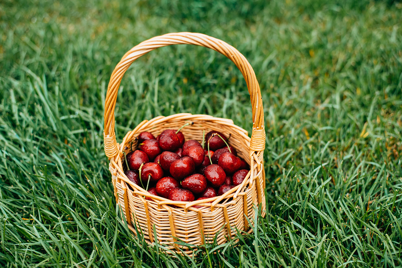 大连樱桃——美枣