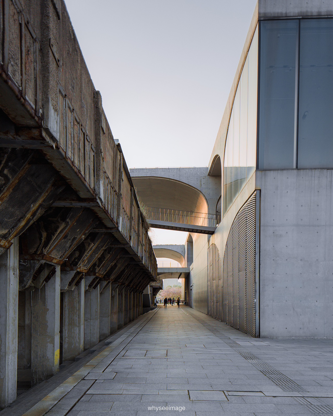 一片樱花在龙美旁落下 | 魔都建筑奇谭记（图ZMzAwODA2MTcy） - 环境/建筑摄影 - 站酷设计师whyseeimage原创素材 - 站酷ZCOOL