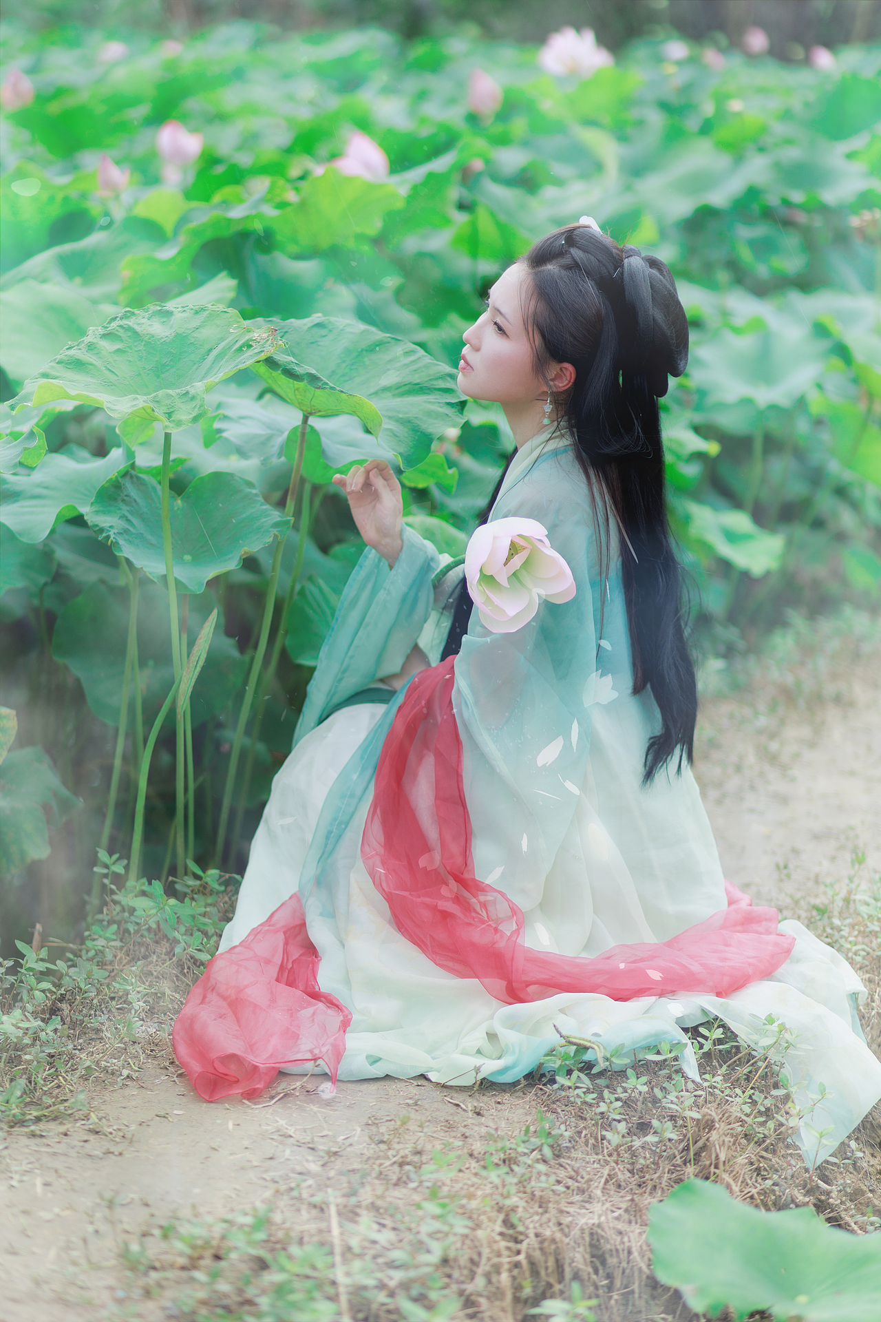 夏日荷花人像练习