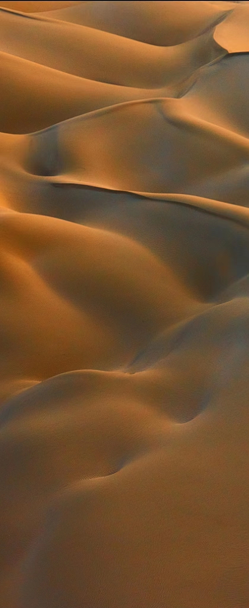 摄影—金色沙漠摄影