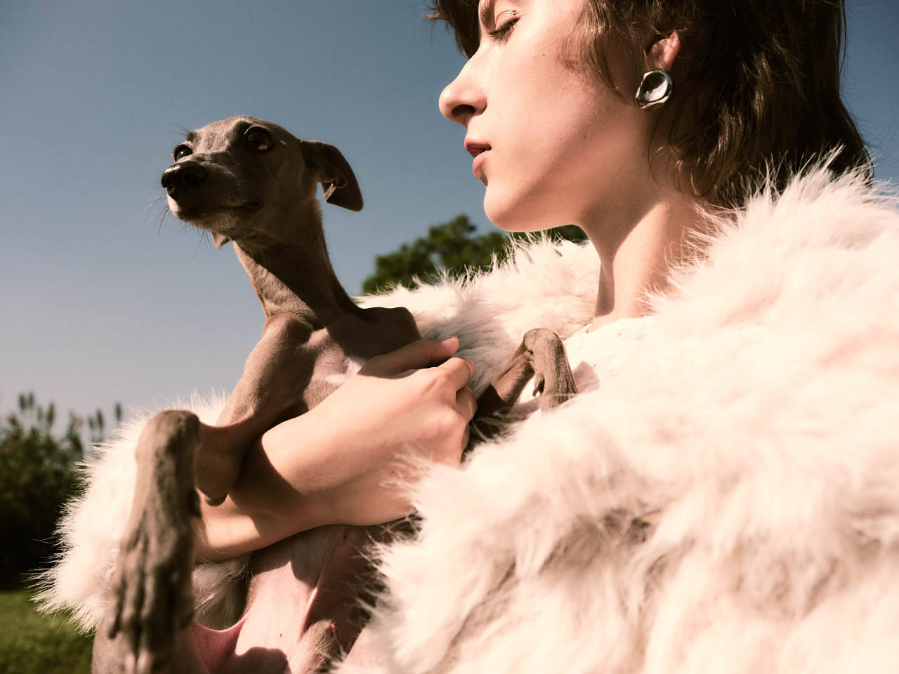 Symbiotic relationship/knowza宠物服饰形象