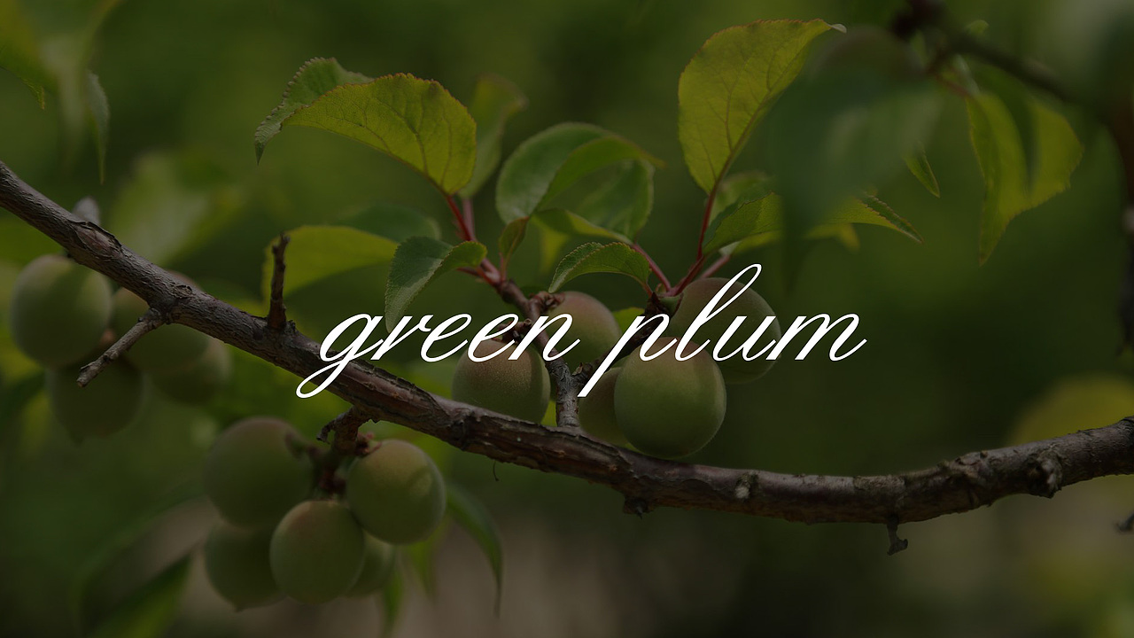 瓦田梅酒包装设计（图ZMzA4Mjk4ODYw） - 包装 - 站酷设计师lian依然原创素材 - 站酷ZCOOL