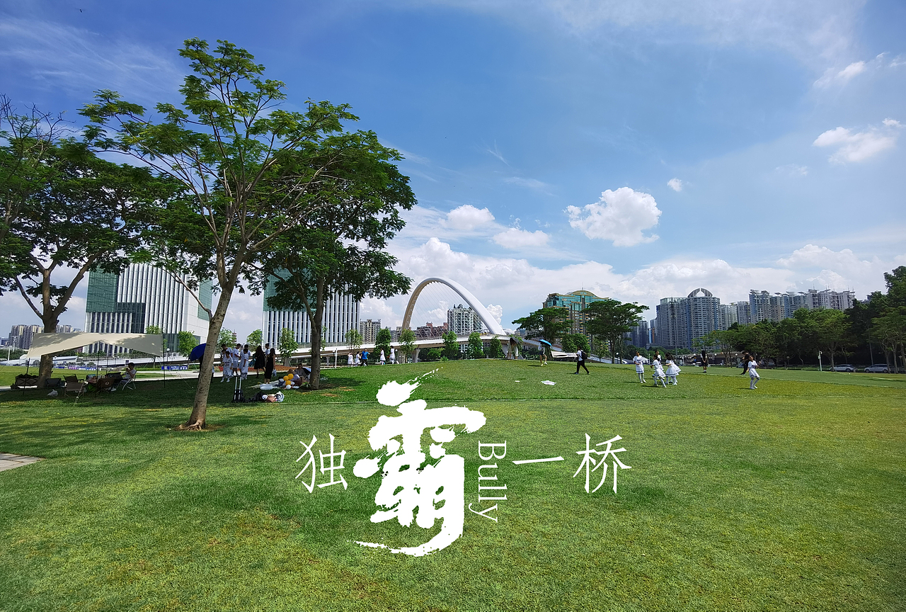 独霸一桥（图ZMzM4NjU2OTUy） - 环境/建筑摄影 - 站酷设计师shenyazi原创素材 - 站酷ZCOOL