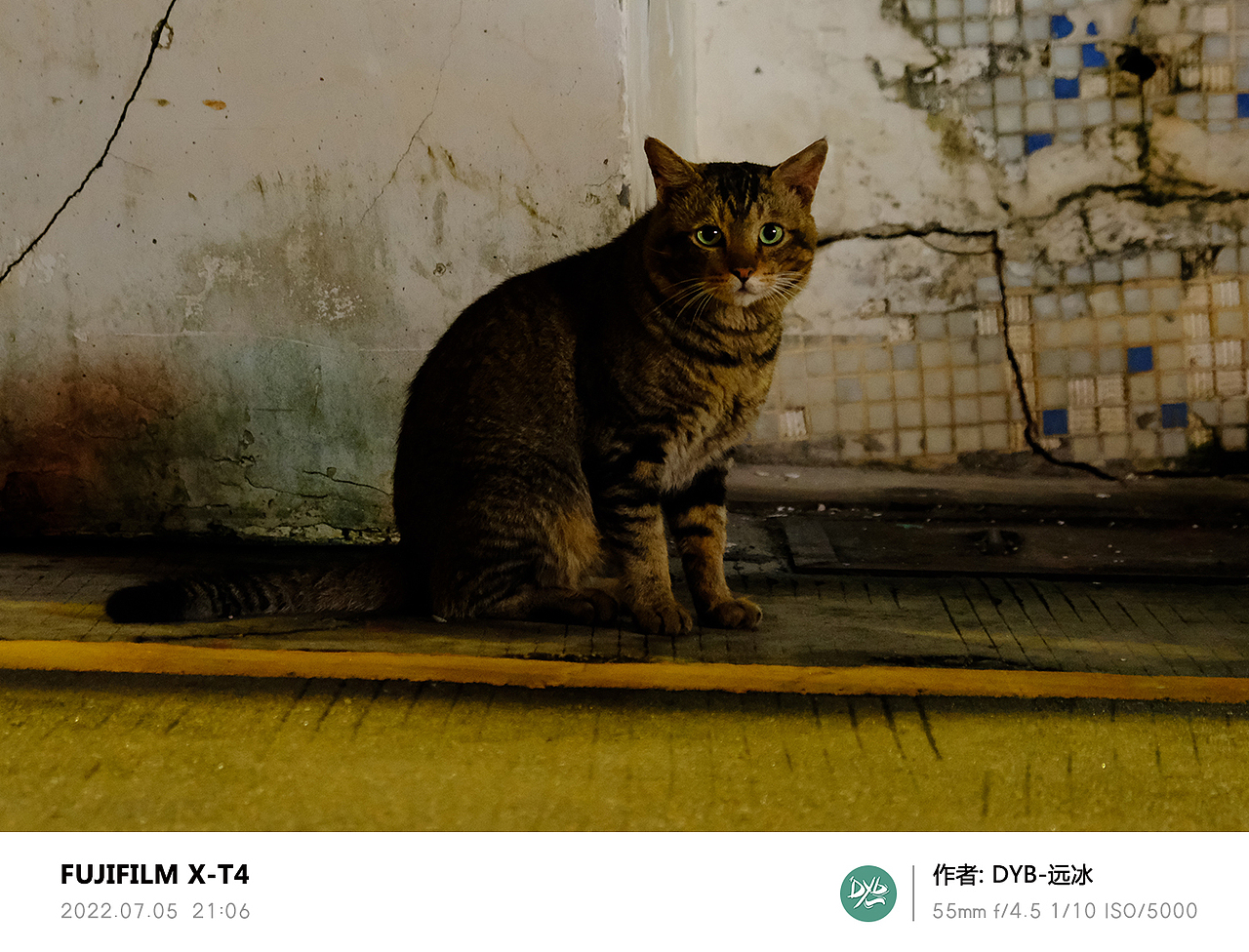 我的摄影日记（图ZMzA4NzQ4NzYw） - 人文/纪实摄影 - 站酷设计师DYB远冰原创素材 - 站酷ZCOOL