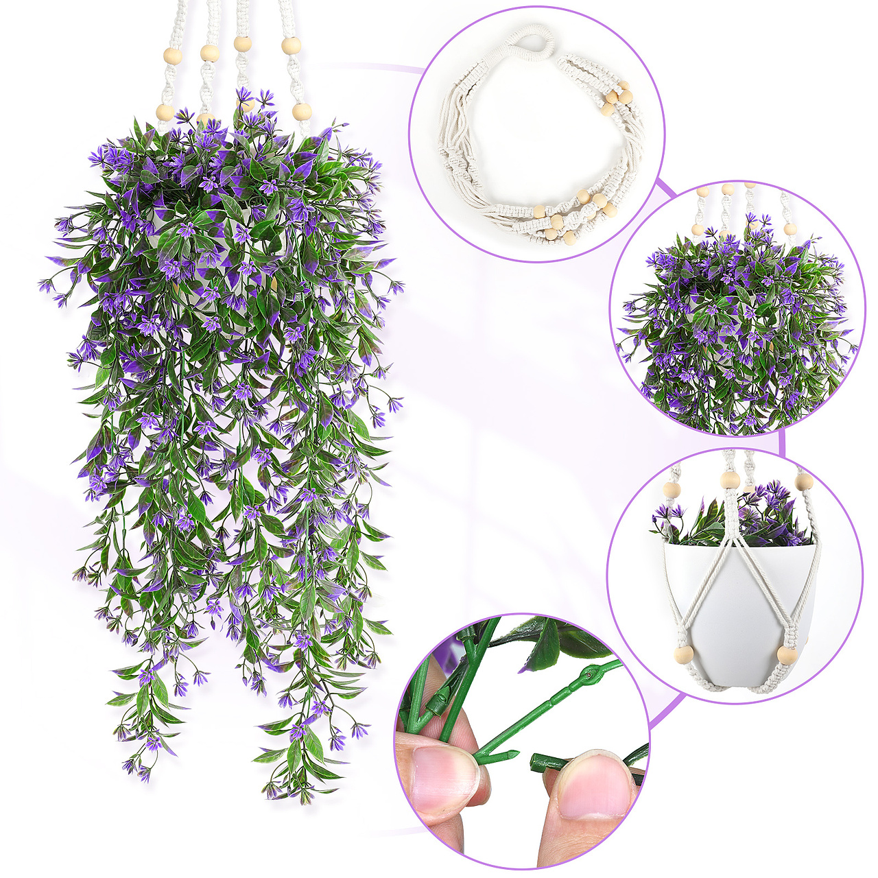 亚马逊悬挂绿植装饰主图、A+、视频（图ZMzQyMTA2MTAw） - 产品摄影 - 站酷设计师Linus_Li原创素材 - 站酷ZCOOL