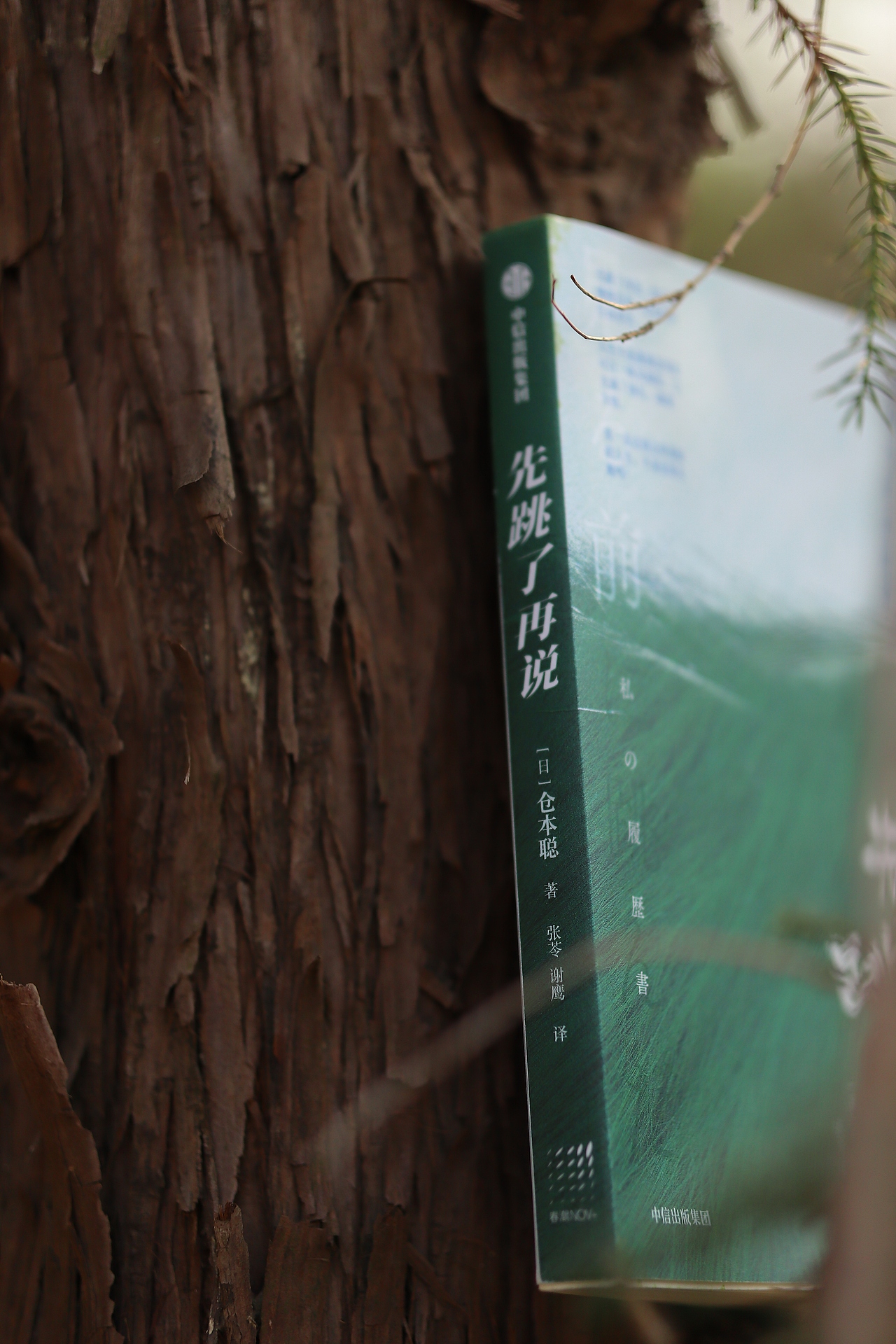 书籍设计 | 先跳了再说（图ZMzY2MDc0OTgw） - 书籍/画册 - 站酷设计师木春原创素材 - 站酷ZCOOL