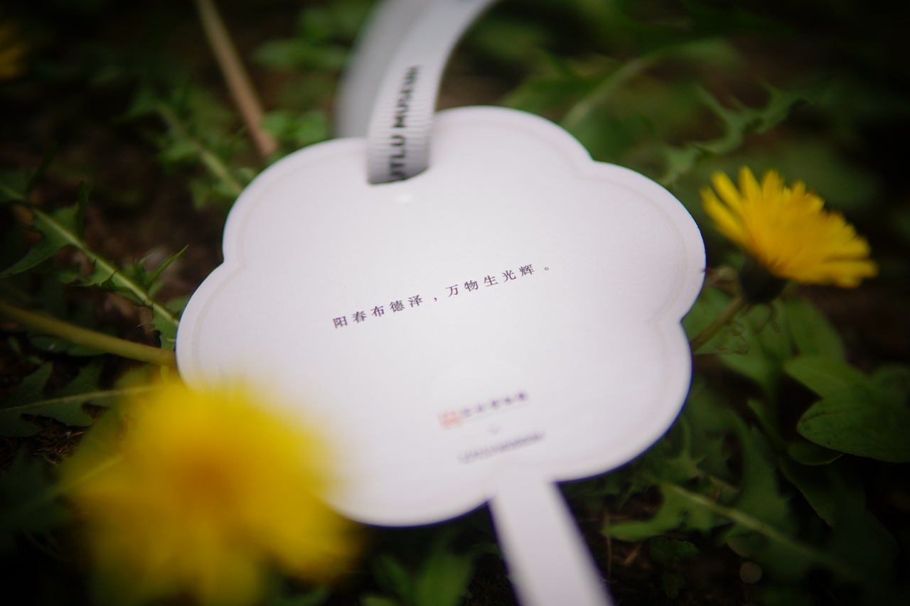 苏州博物馆 x 西交利物浦大学博物馆 联名香片设计