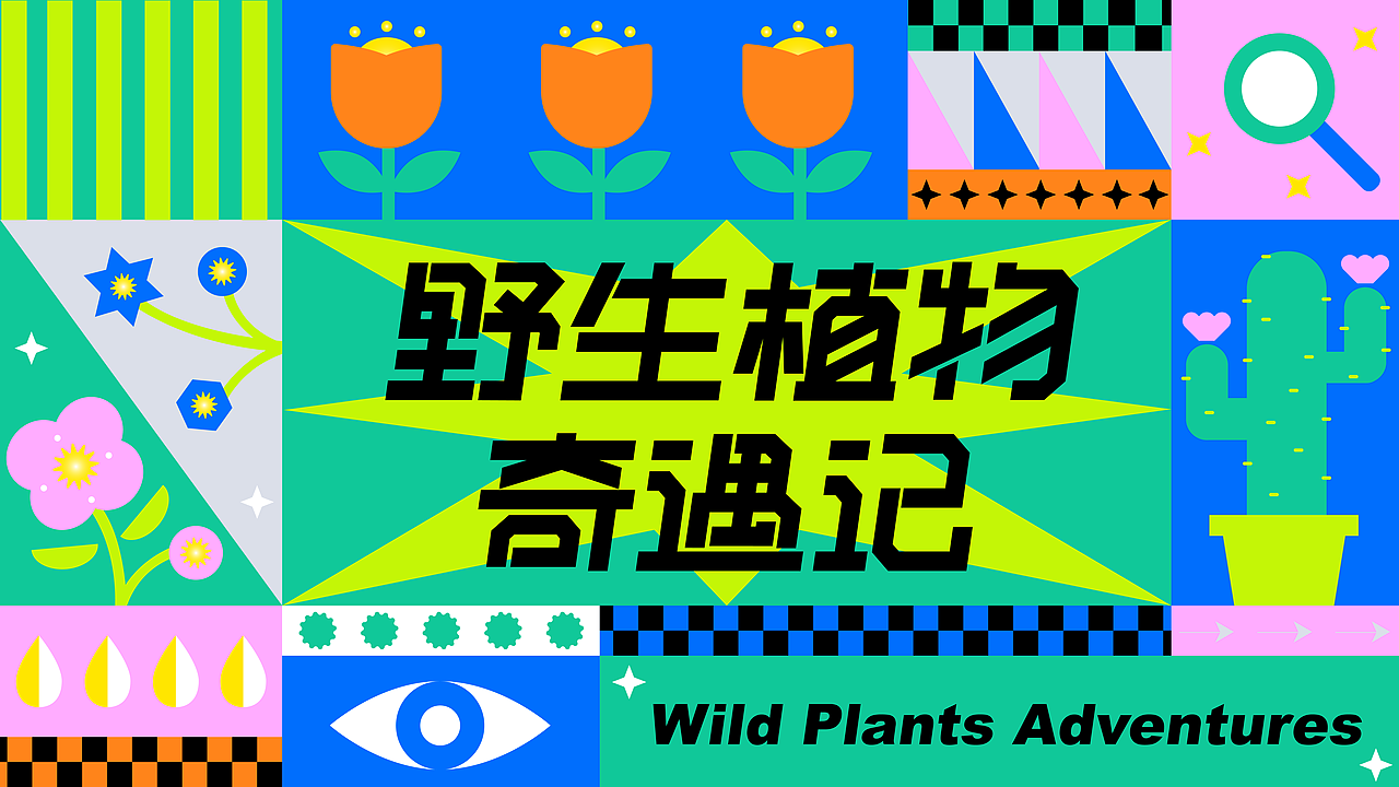 主视觉KV | 野生植物奇遇记
