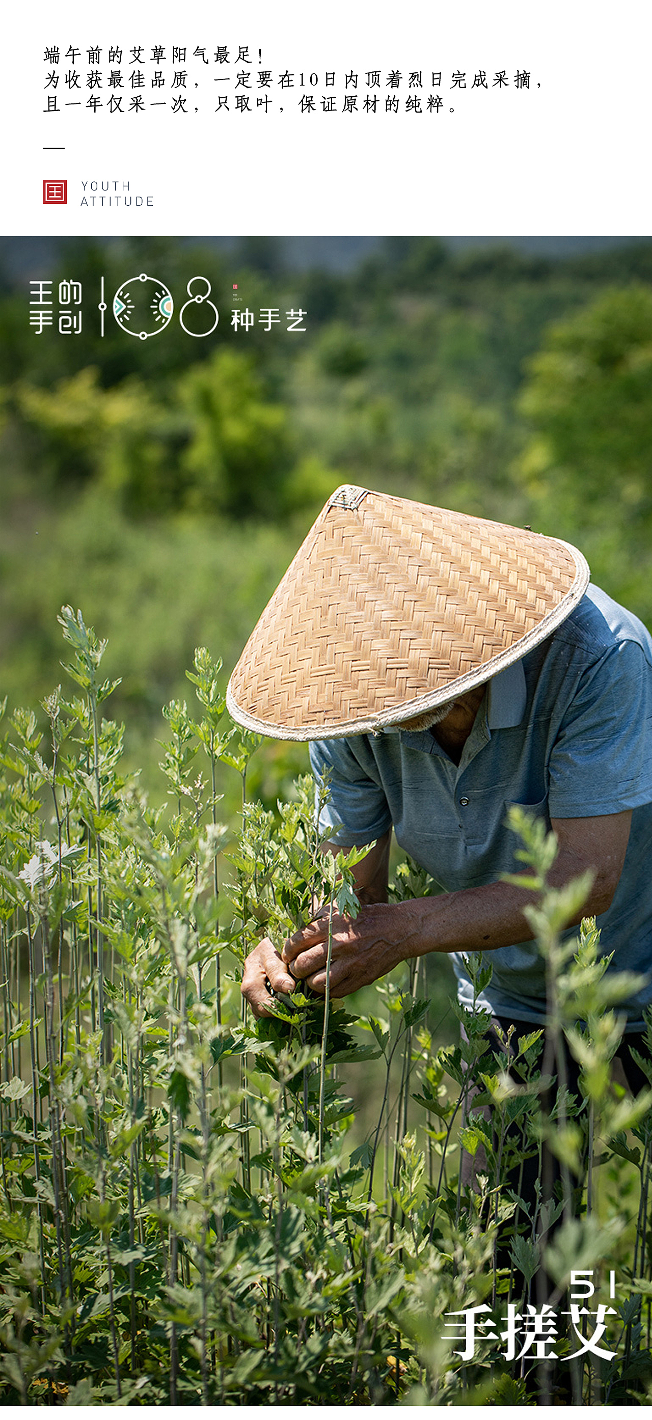 手搓艾“家有三年艾，郎中不用来”（图ZMzQ1NjkwMjY0） - 工艺品设计 - 站酷设计师108种手艺原创素材 - 站酷ZCOOL