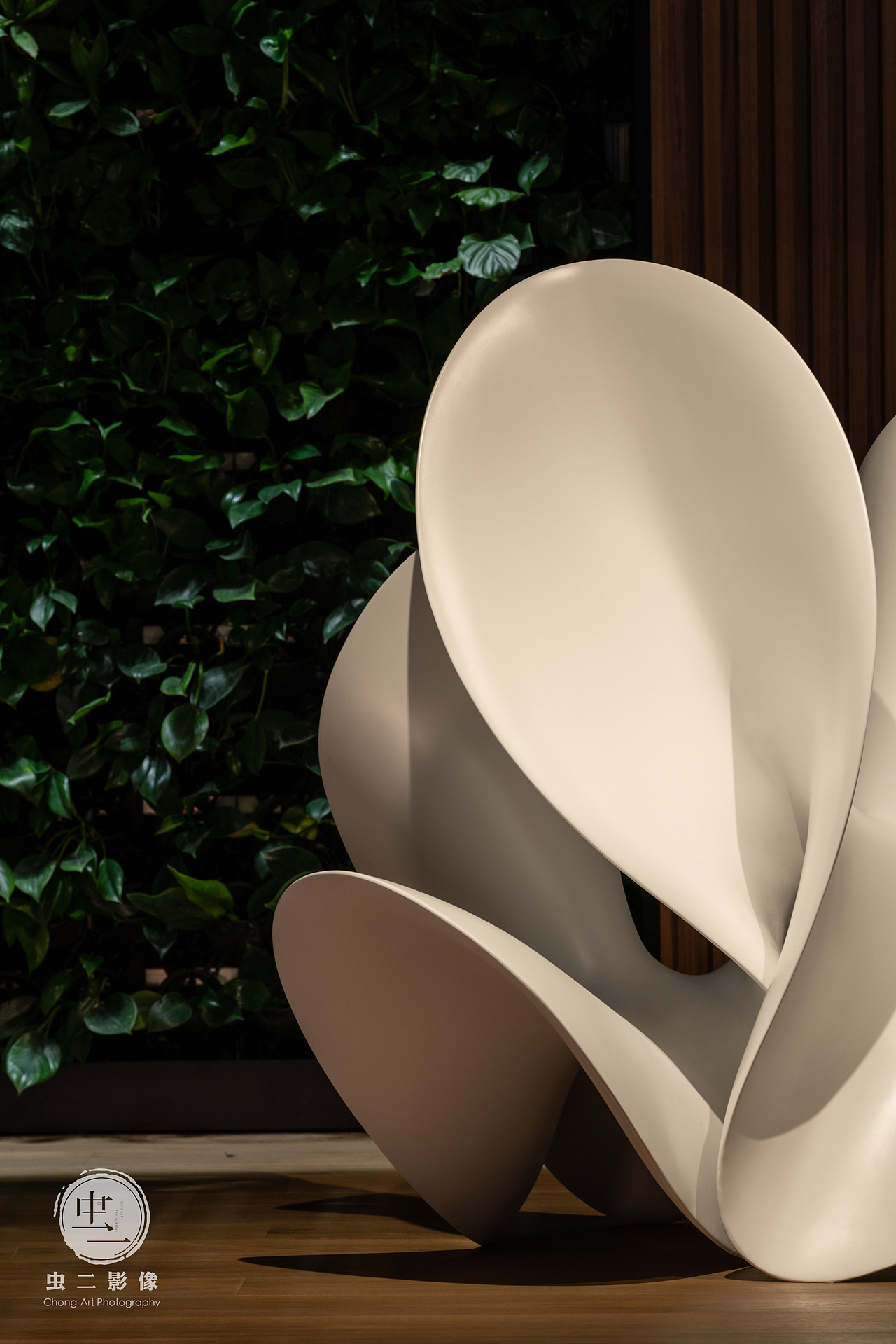 《梦想》/张代松