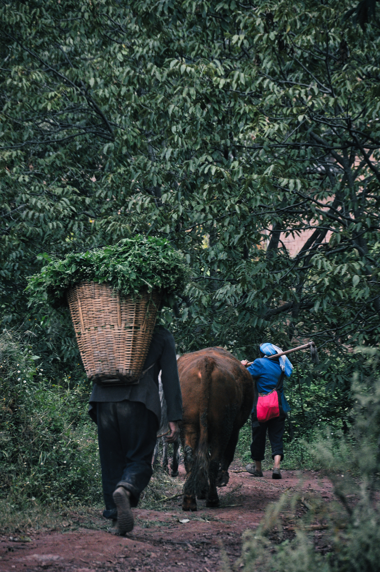 2013年国庆回家村子里（一）（图ZMzU2ODEzODg4） - 人文/纪实摄影 - 站酷设计师焦虑到掉头发原创素材 - 站酷ZCOOL