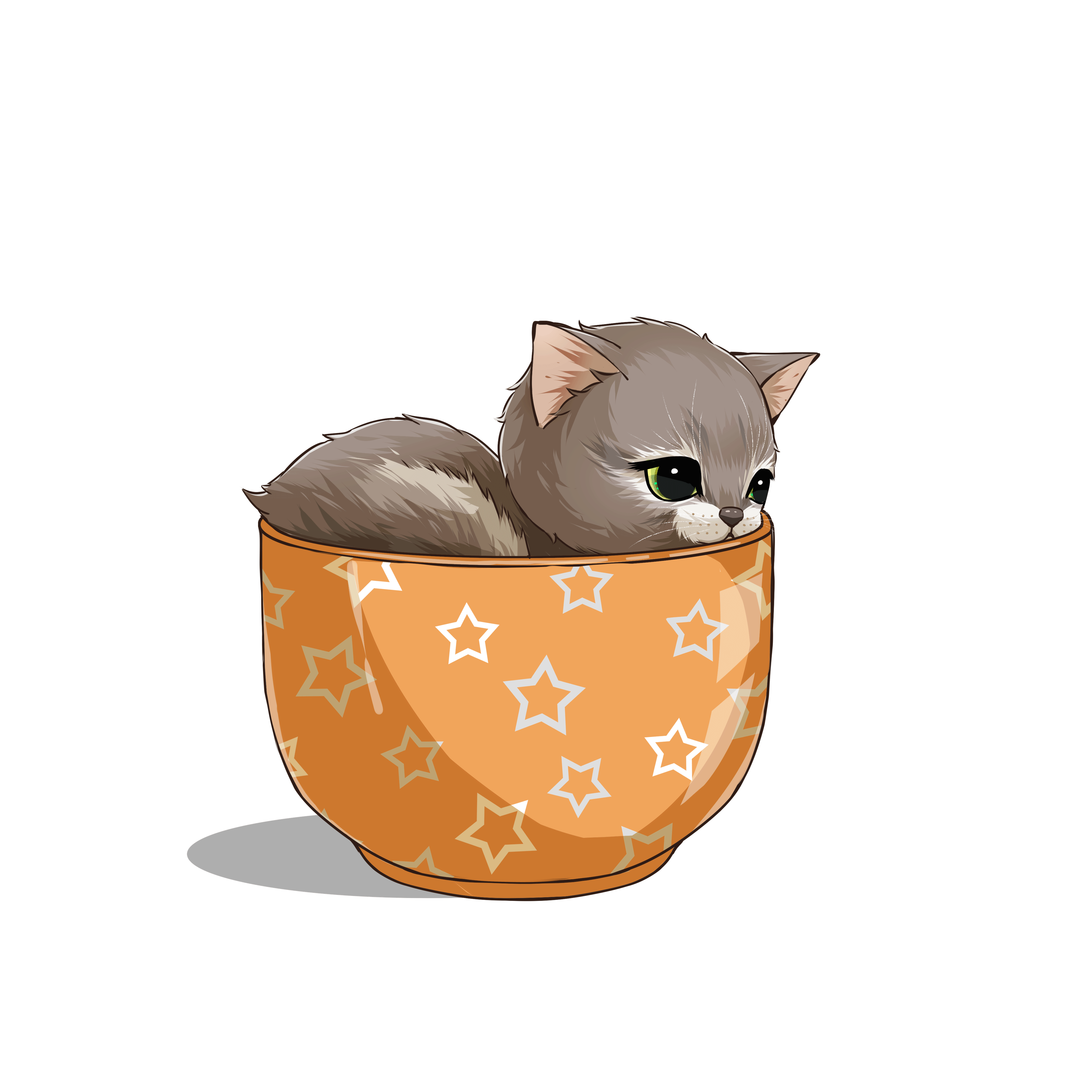茶杯猫170