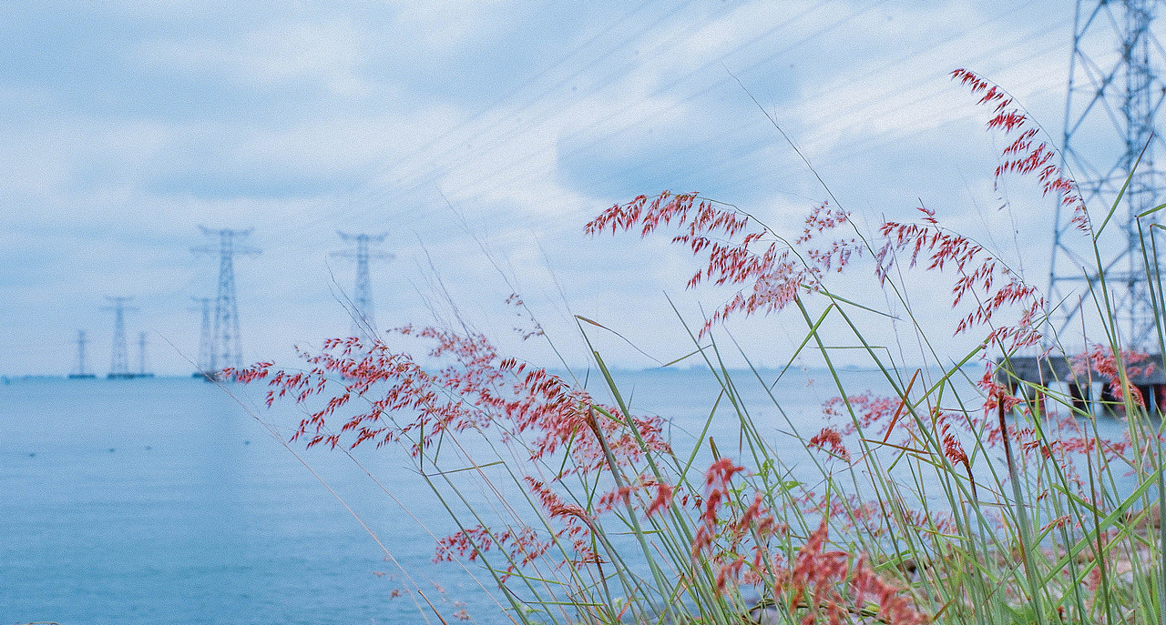 西乡红树林湿地公园-2022劳动节