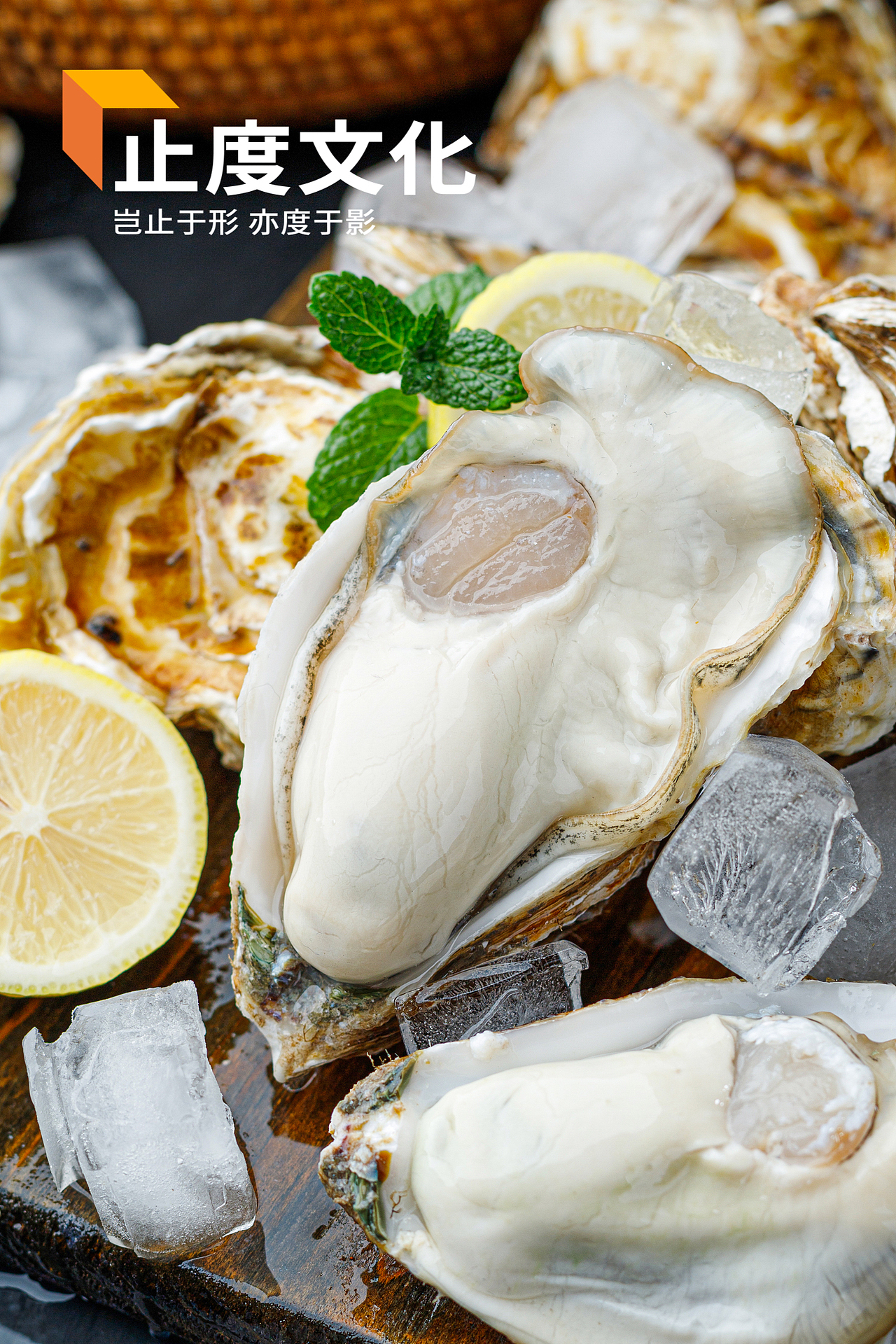 牡蛎 生蚝 海蛎子海鲜拍摄_止度文化-站酷zcool