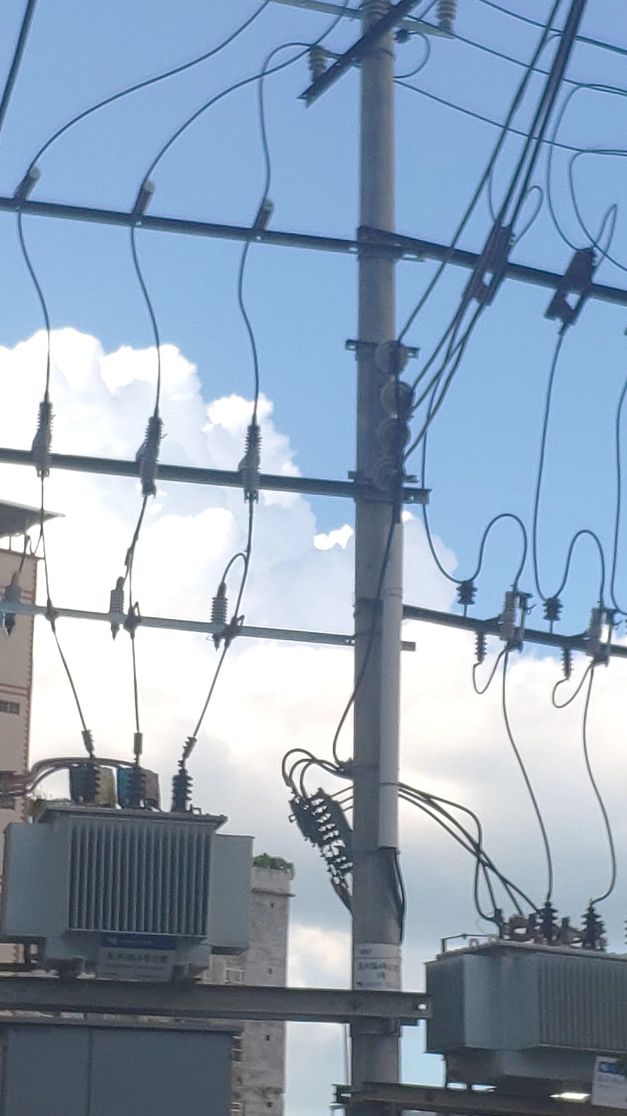 电线是有生命的