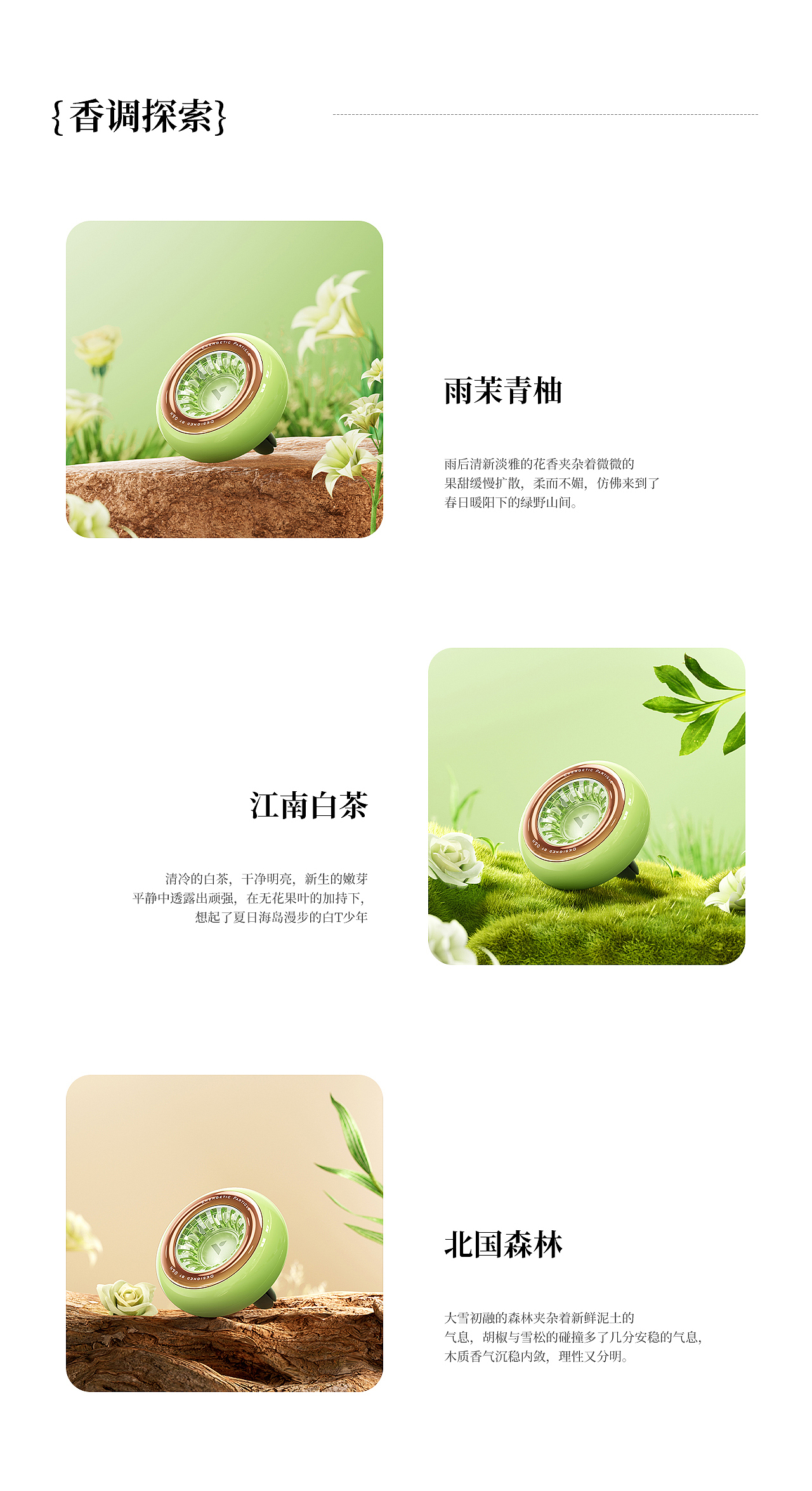 VICSEED/维可思2023项目视觉设计x3