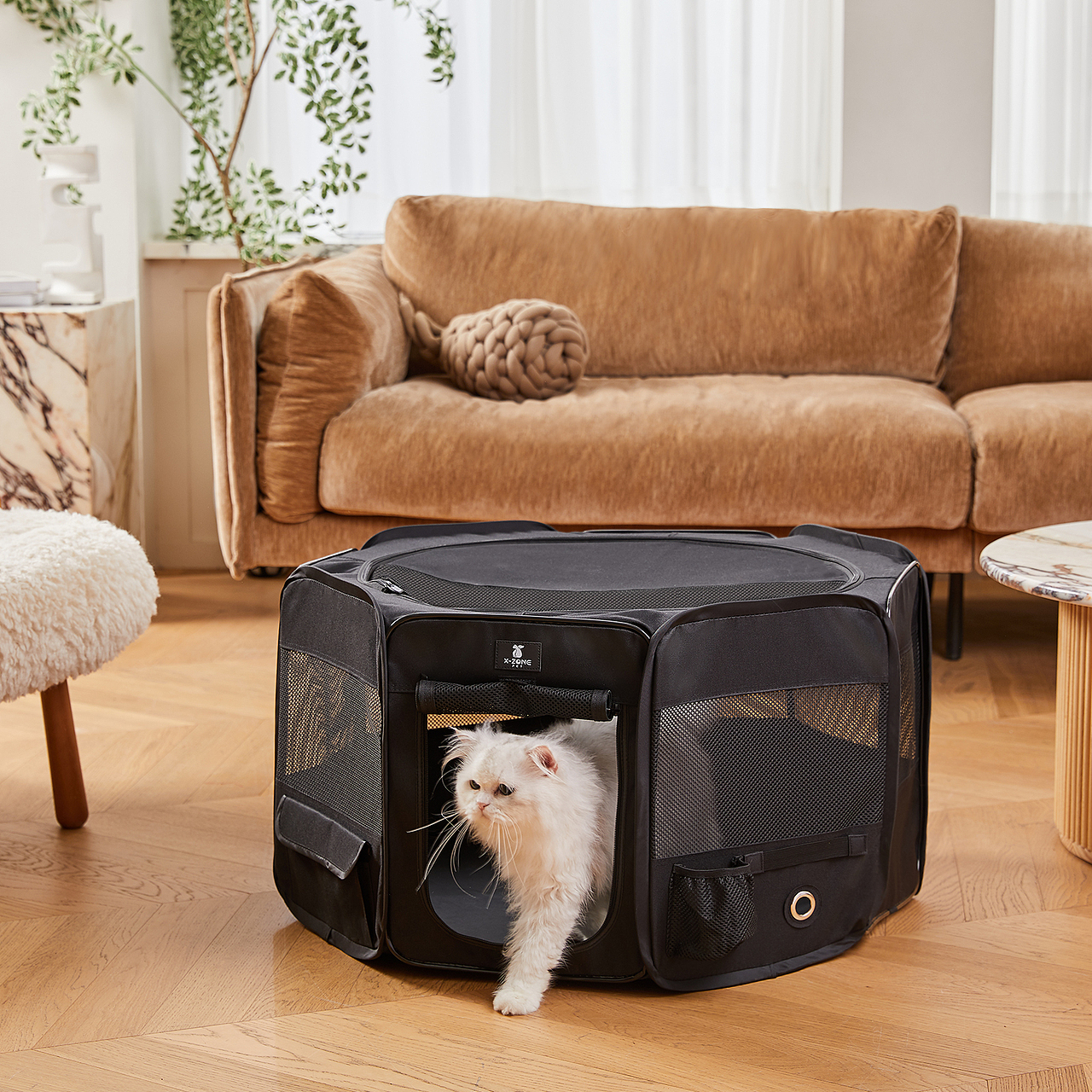 【聚豪设计-宠物类】宠物产品集合