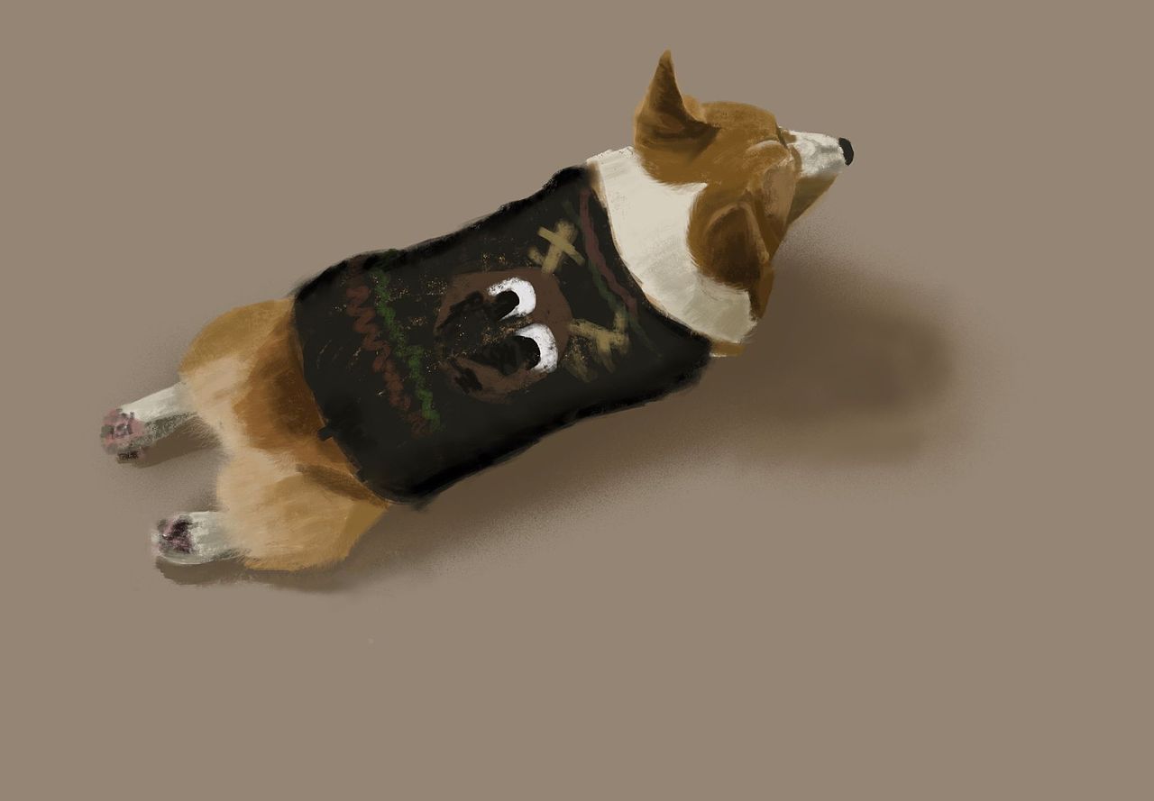 给短腿一点悠闲的时光