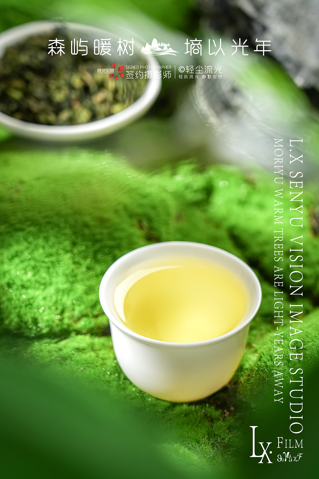 铁观音乌龙茶商业摄影