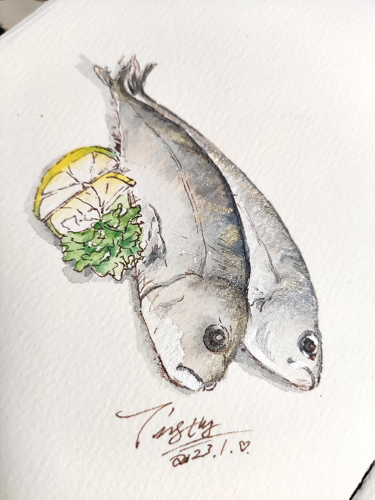 2023年1月份手绘水彩画总结30张