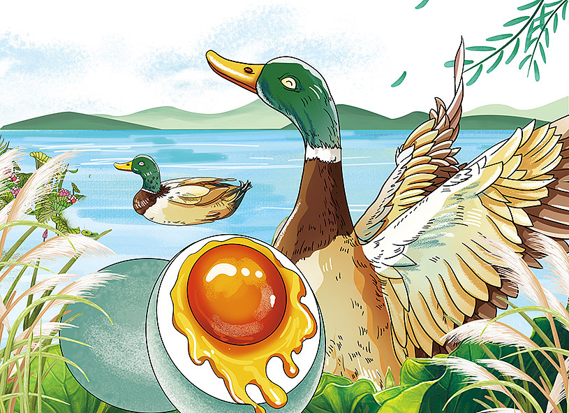 鸭蛋包装插画设计（图ZMzIzNTQ4MjAw） - 商业插画 - 站酷设计师祝君好运嗄原创素材 - 站酷ZCOOL