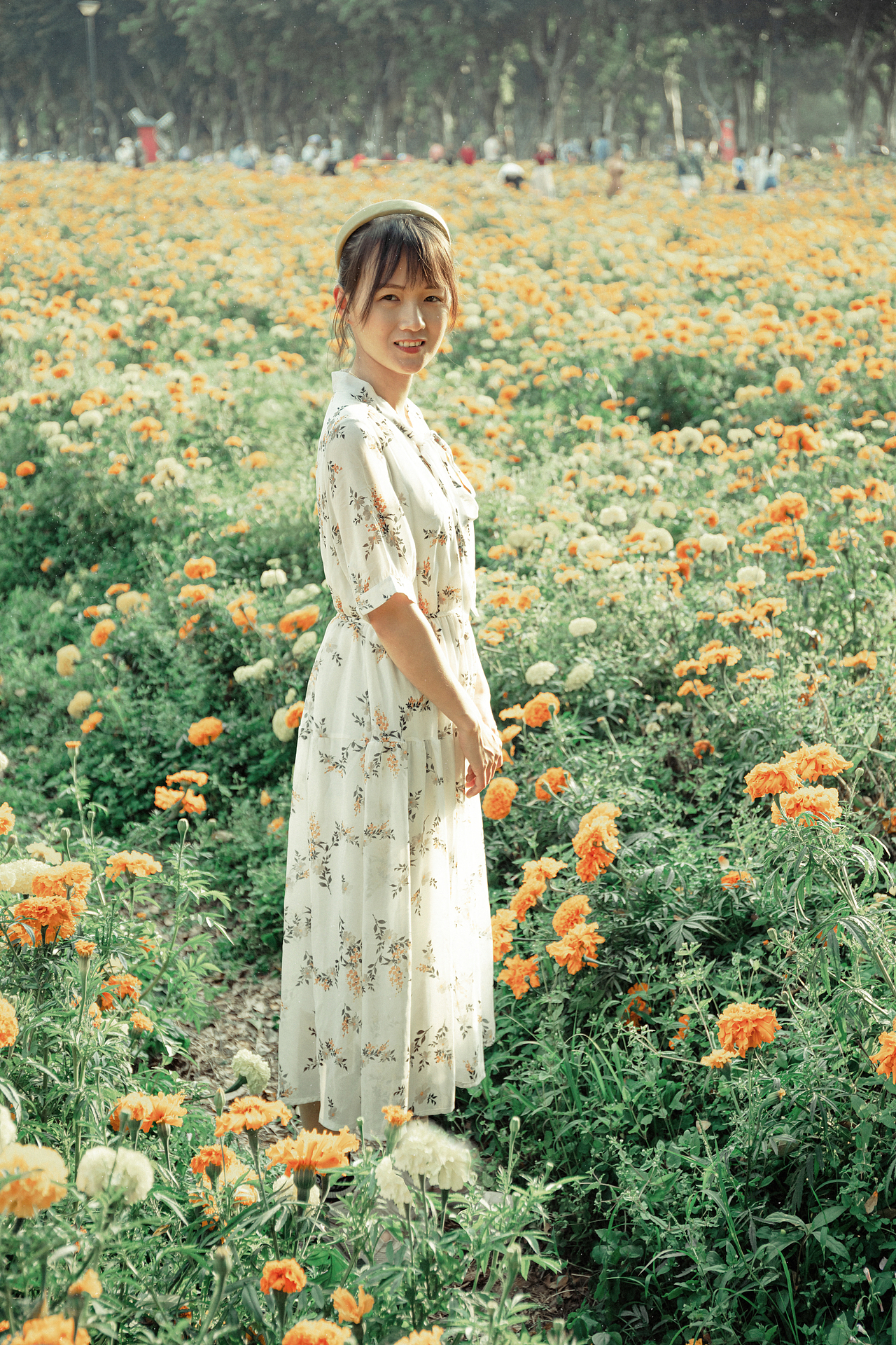 三月陪你看花开
