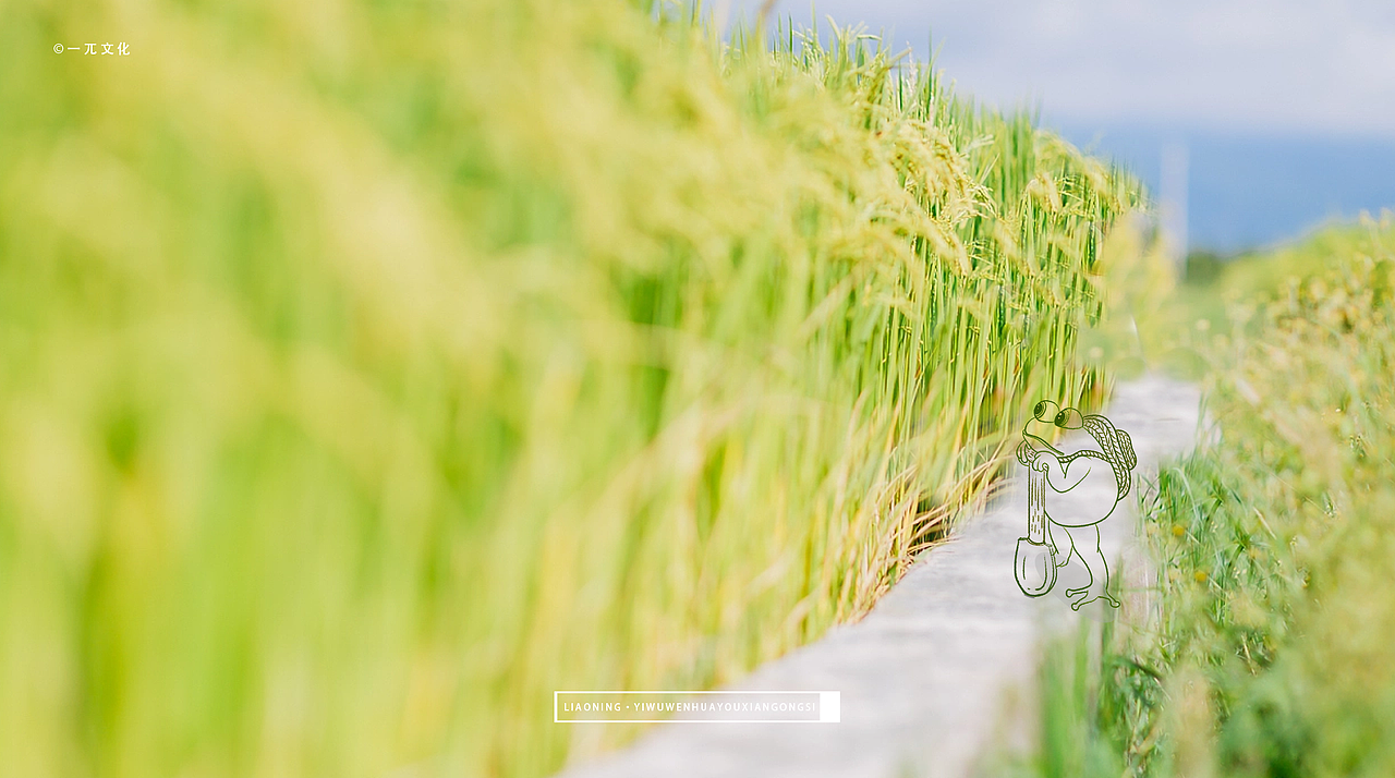 一pai文化 | 大米包装【营田米业】