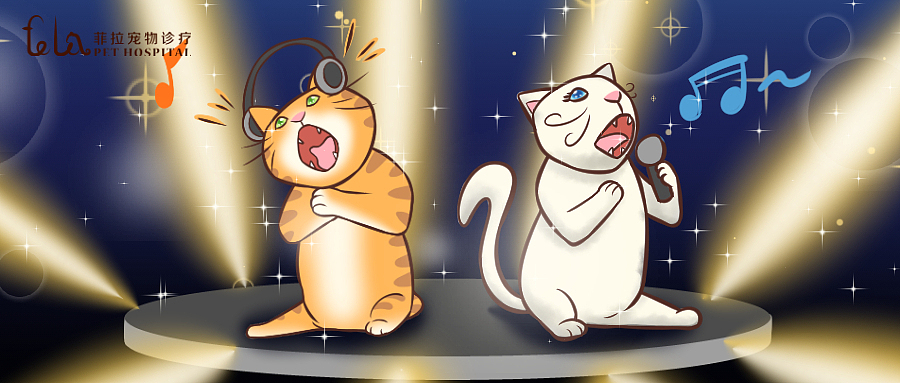 宠物医院科普视频合集2（图ZMzcwNTc0NjIw） - 动画片 - 站酷设计师小韦子哉原创素材 - 站酷ZCOOL